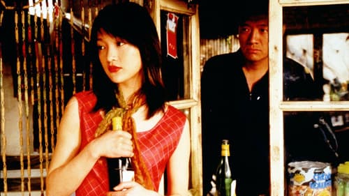 Beijing Bicycle Bild 3