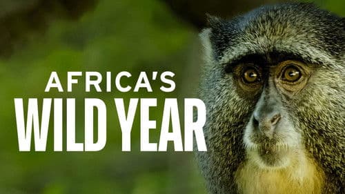 Die Wildnis Afrikas - Vier Jahreszeiten Bild 4