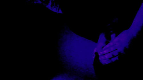 Birds in Maine Bild 1