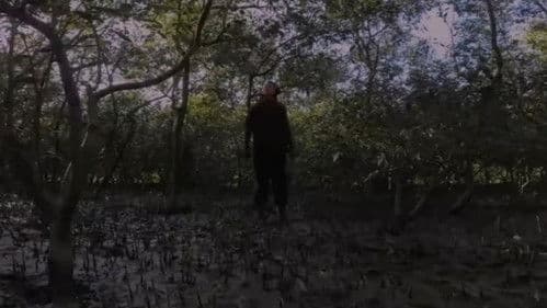 দোআঁশ Bild 2