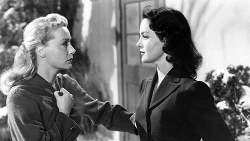 The Story of Molly X Bild 3