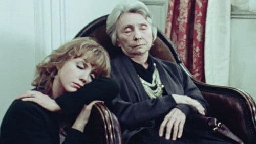 Ganze Tage in den Bäumen Bild 1