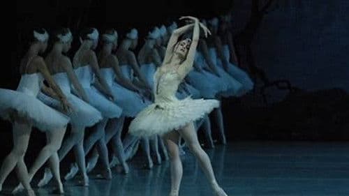 Swan Lake Bild 3