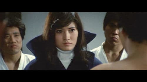 必殺女拳士 Bild 1