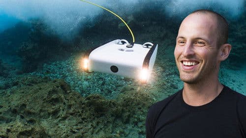 Best Job Ever Bild 2