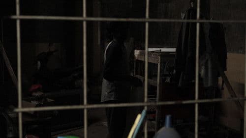 When Stillness Trembles Bild 1