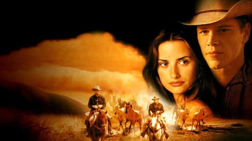 All die schönen Pferde Bild 8