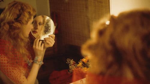 The Disappearance of Shere Hite Bild 3