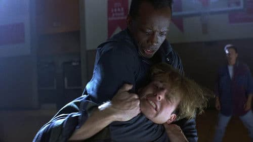 American Karate Tiger Bild 4