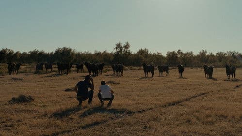Un monde sans bêtes Bild 2