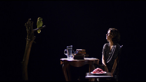 Sedução da Carne Bild 1