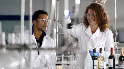 The Truth About Alcohol Bild 2