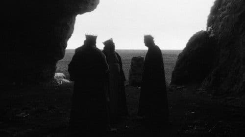 El cant dels ocells Bild 8