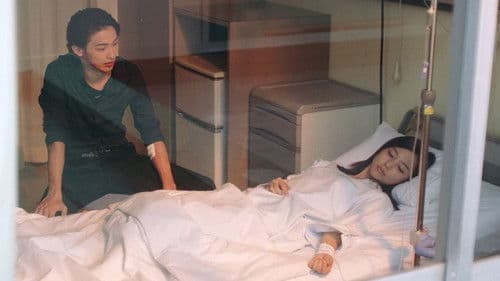 青の帰り道 Bild 3