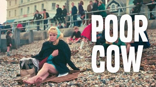 Poor Cow Bild 5