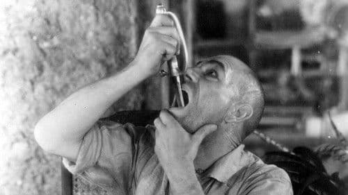 West of Zanzibar Bild 5