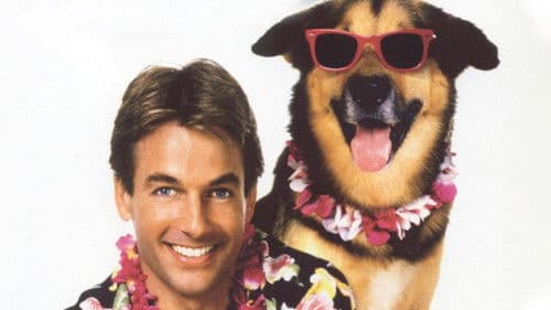 Summer School Bild 6