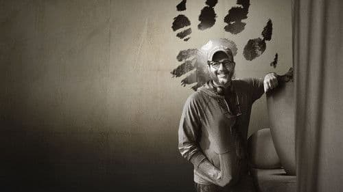 Director by Night Bild 3