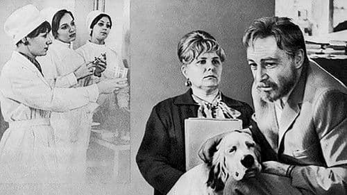 Weißer Bim, schwarzes Ohr Bild 4