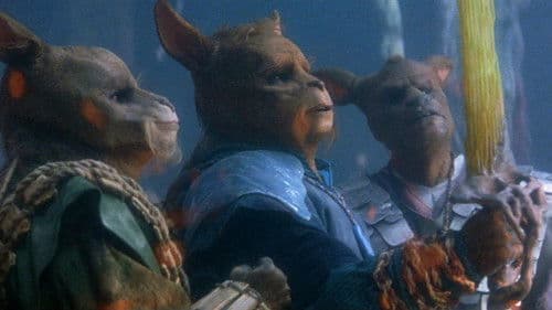 Die Krieger des Tao-Universums Bild 6