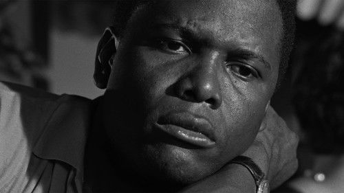 Ein Fleck in der Sonne Bild 4