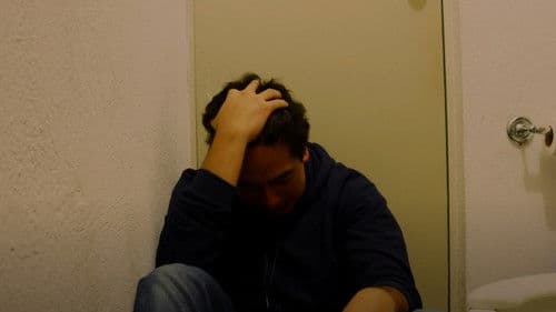 Entre Lobos y Perros Bild 3