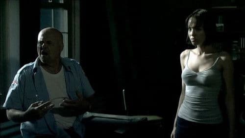 Bitten in the Twilight Bild 2