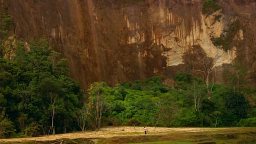 Merantau - Meister des Silat Bild 5