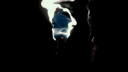 Shadows of Light Bild 1