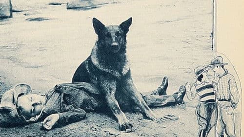 The Big Stunt Bild 1