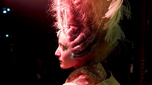 Medusa Deluxe Bild 2