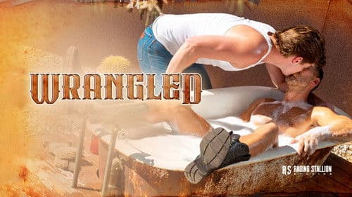 Wrangled Bild 3