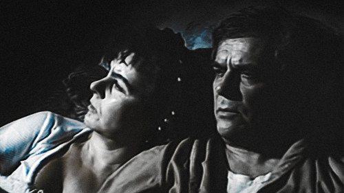 Tek Başına Bir Kadın Bild 1