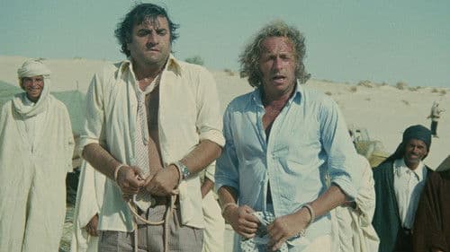 Zwei Kamele auf einem Pferd Bild 6