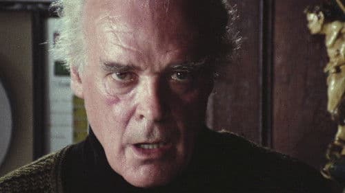 The Black Cat Bild 1