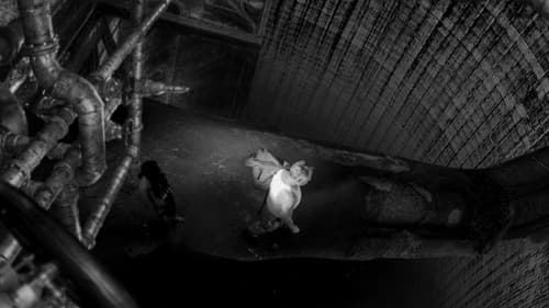 Freund der Welt Bild 8