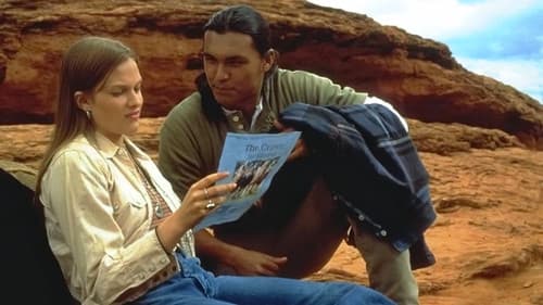 Der Sommer der Pferde Bild 2