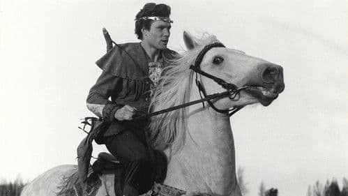 Die elf Schwäne Bild 3