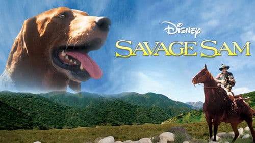 Im Tal der Apachen Bild 6