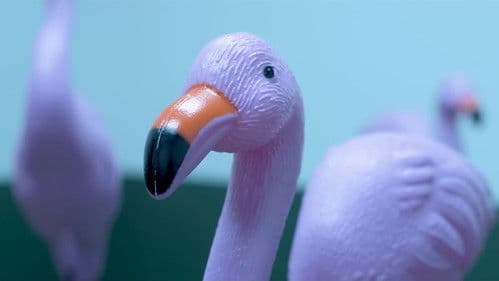 SCP: The Corpse Bild 1