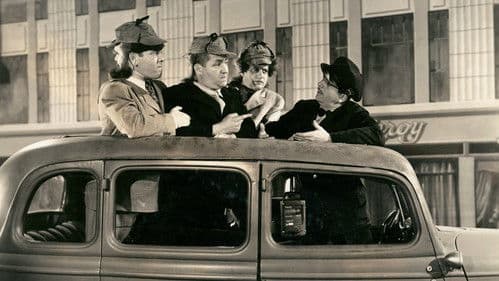 We Want Our Mummy Bild 3