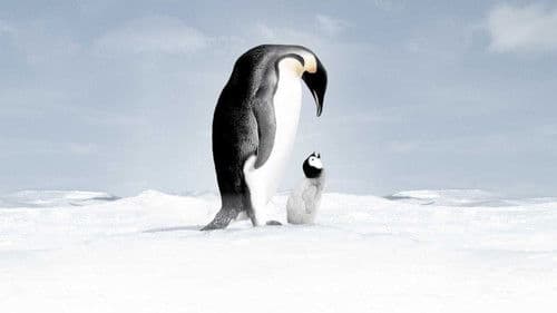 Die Reise der Pinguine Bild 4