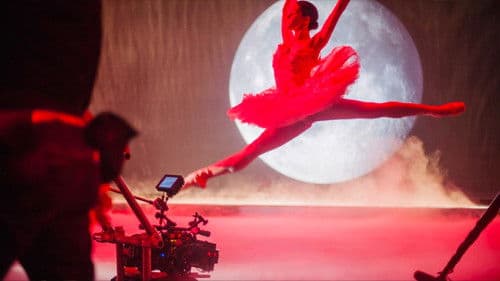 Black Swan: Metamorphosis Bild 4