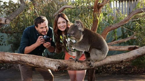 A Melbourne Match Bild 2