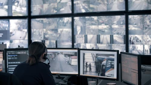 Reported Missing Bild 2