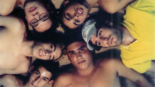 Tomer Ve-Hasrutim Bild 1