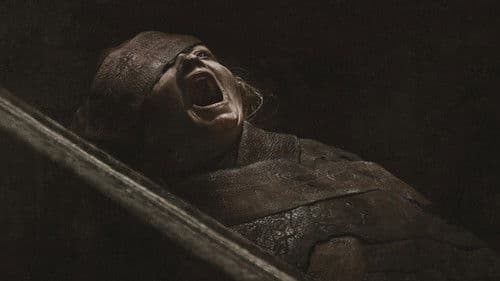 Lee Cronin's The Mummy Bild 2