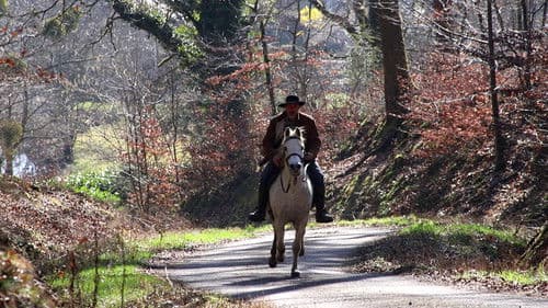 Call Me Stranger Bild 2