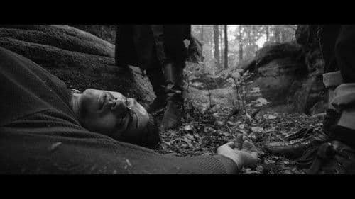 The Colours of Desire Bild 1