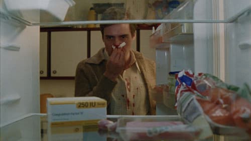 What We Wished We Could Be Bild 2